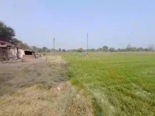 Residential Plot in Shankarpur for resale Nagpur. The reference number is 20919921