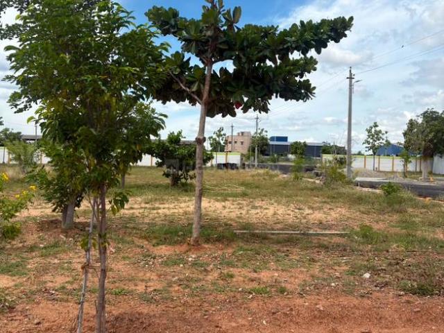 Residential Plot in Shanmuga Nagar for resale Tiruchirappalli. The reference number is 20970402