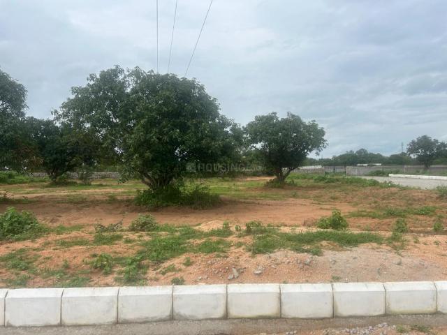 Residential Plot in Shadnagar for resale Ranga Reddy. The reference number is 15209199