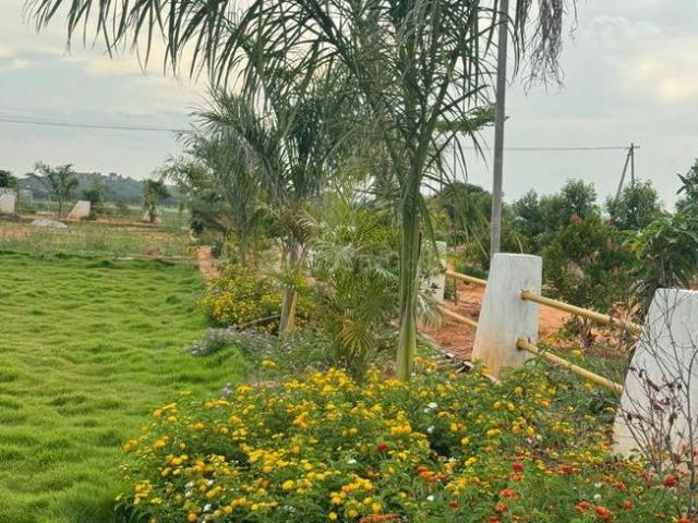 Residential Plot in Shadnagar for resale Ranga Reddy. The reference number is 16639758