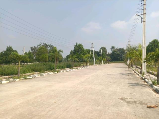 Residential Plot in Shadnagar for resale Ranga Reddy. The reference number is 19712212