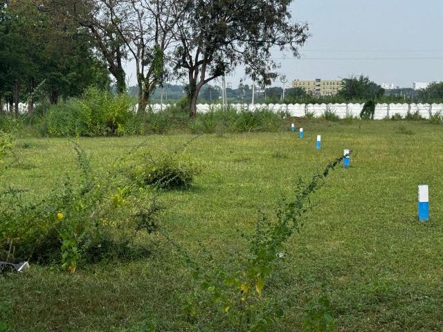 Residential Plot in Shadnagar for resale Ranga Reddy. The reference number is 19996308