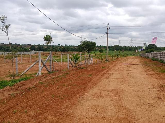 Residential Plot in Shadnagar for resale Ranga Reddy. The reference number is 20776048