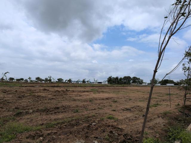 Residential Plot in Shadnagar for resale Ranga Reddy. The reference number is 20900496