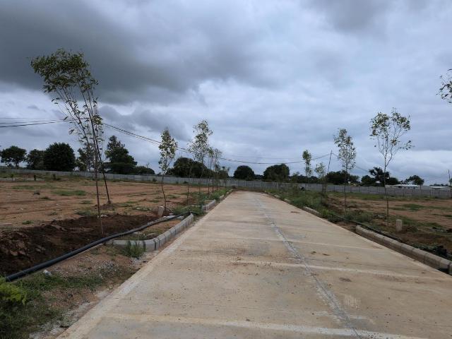 Residential Plot in Shadnagar for resale Ranga Reddy. The reference number is 20900493