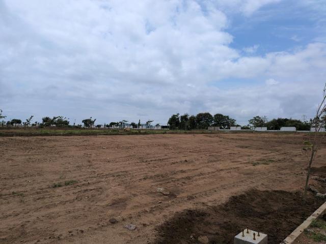 Residential Plot in Shadnagar for resale Ranga Reddy. The reference number is 20900510