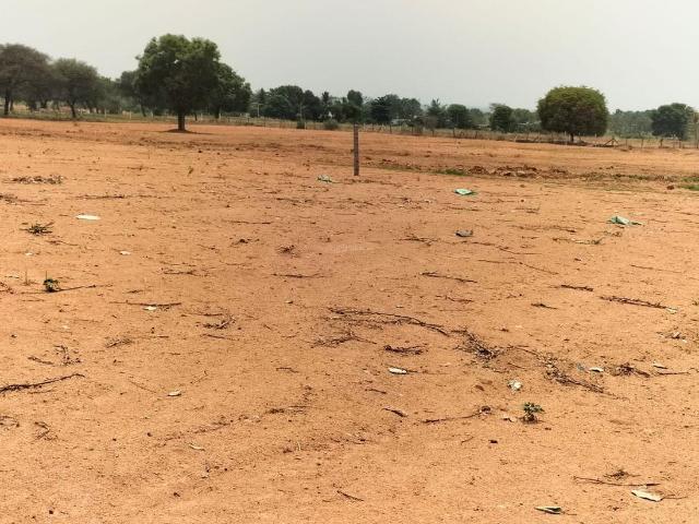 Residential Plot in Shadnagar for resale Ranga Reddy. The reference number is 9234300