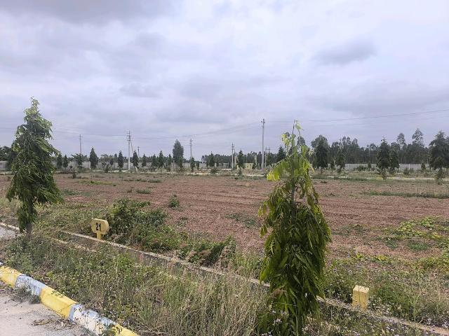 Residential Plot in Sheikhmanpura for resale Kolar. The reference number is 20663397