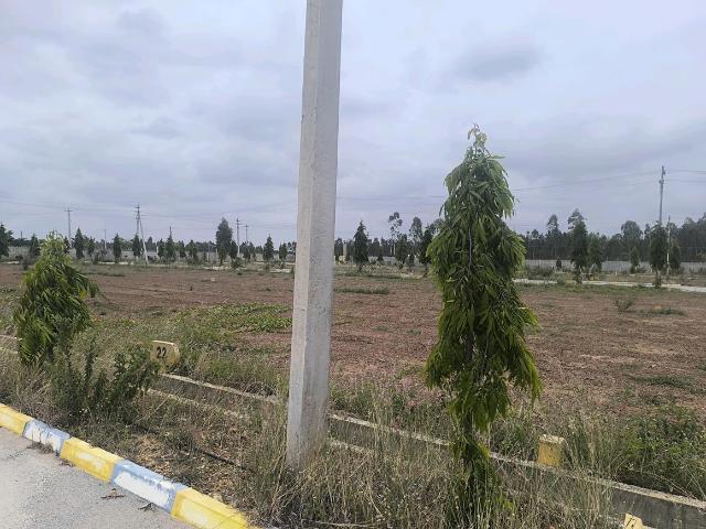 Residential Plot in Sheikhmanpura for resale Kolar. The reference number is 20663394