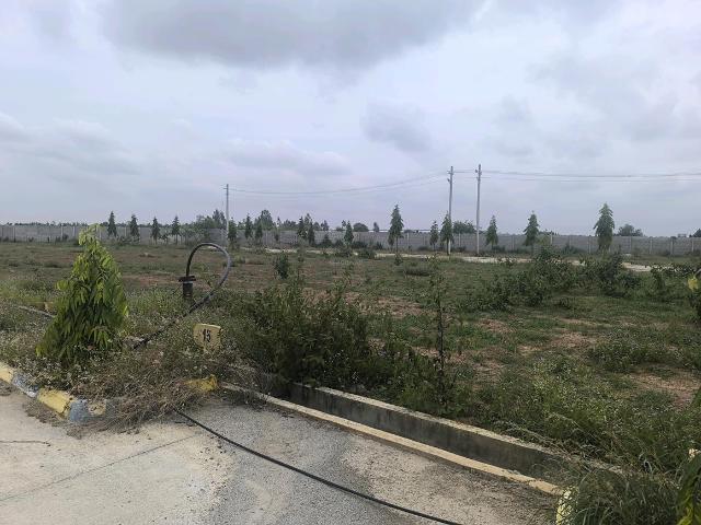 Residential Plot in Sheikhmanpura for resale Kolar. The reference number is 20663317