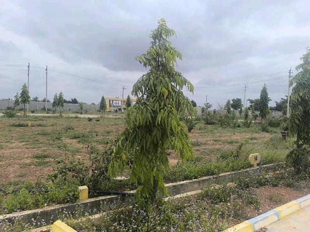 Residential Plot in Sheikhmanpura for resale Kolar. The reference number is 20663330