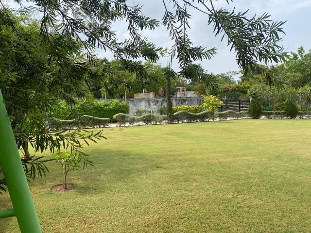 Residential Plot in Shela for resale Ahmedabad. The reference number is 20086201