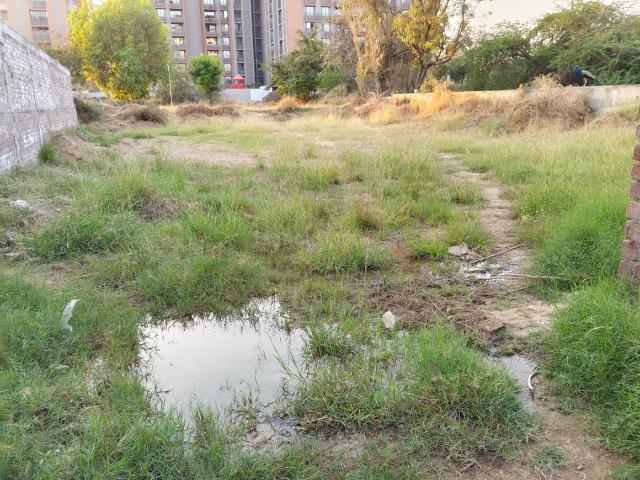 Residential Plot in Shela for resale Ahmedabad. The reference number is 19642870