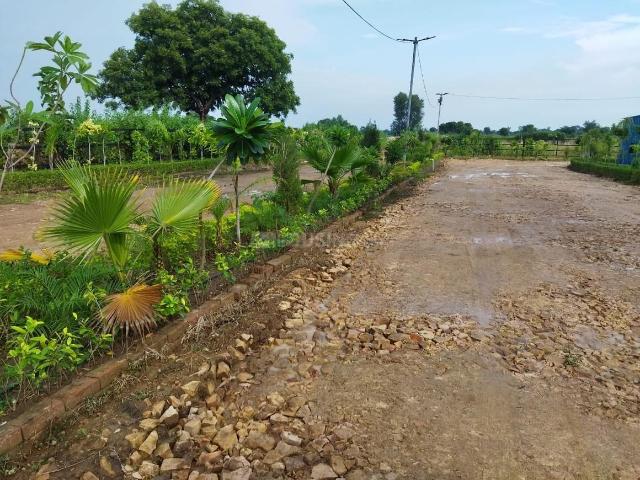 Residential Plot in Sherghati for resale Gaya. The reference number is 20324751