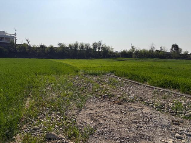 Residential Plot in Sherpur for resale Dehradun. The reference number is 19543066
