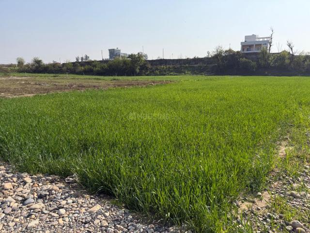 Residential Plot in Sherpur for resale Dehradun. The reference number is 20317002