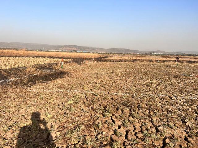 Residential Plot in Shirdhon for resale Navi Mumbai. The reference number is 18433629