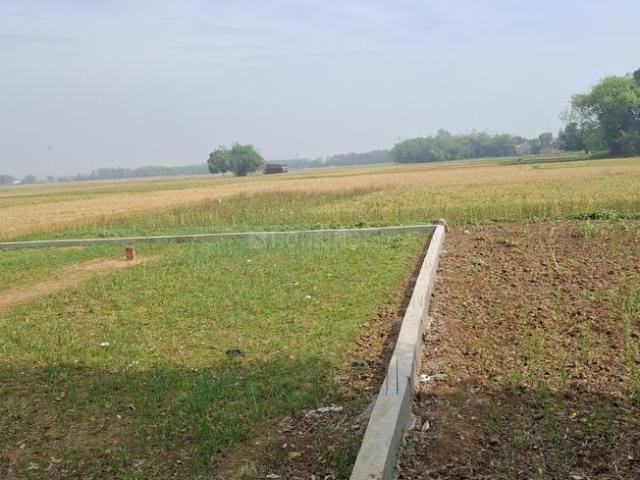 Residential Plot in Shivala Par for resale Patna. The reference number is 19868836