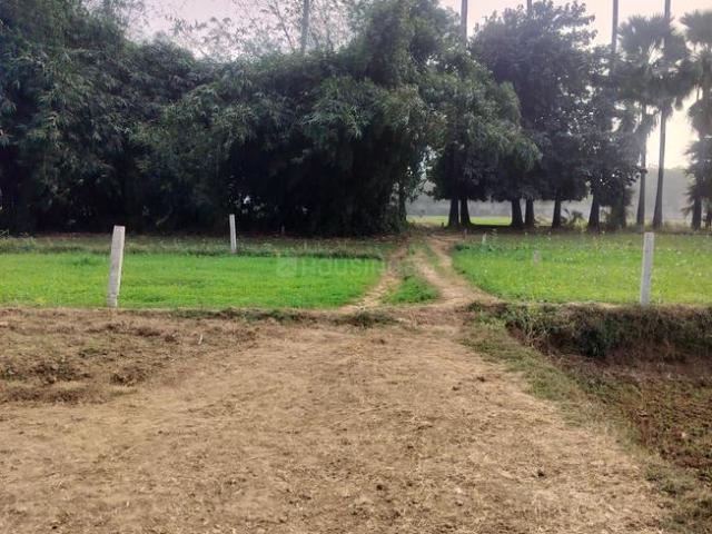Residential Plot in Shivala Par for resale Patna. The reference number is 19389184