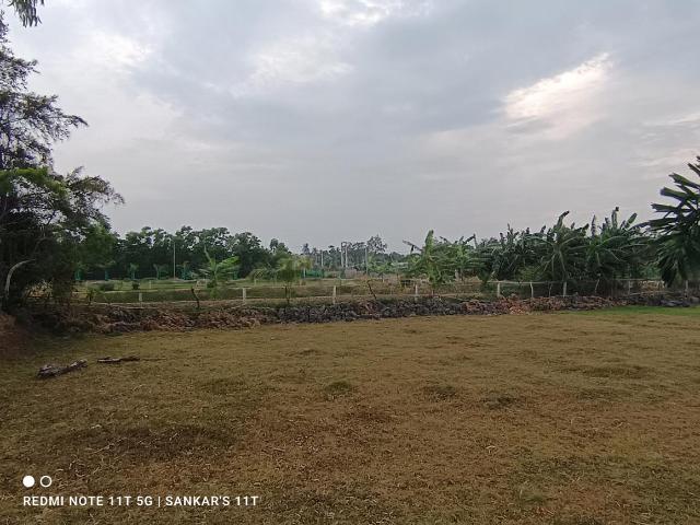 Residential Plot in Shyam Bazar for resale Kolkata. The reference number is 16365388