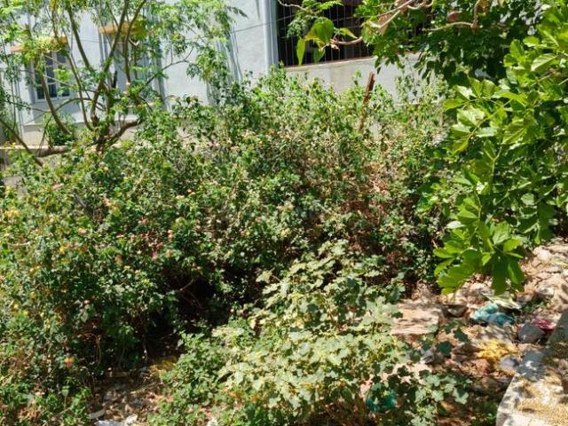 Residential Plot in Sidedahalli for resale Bengaluru. The reference number is 19926617