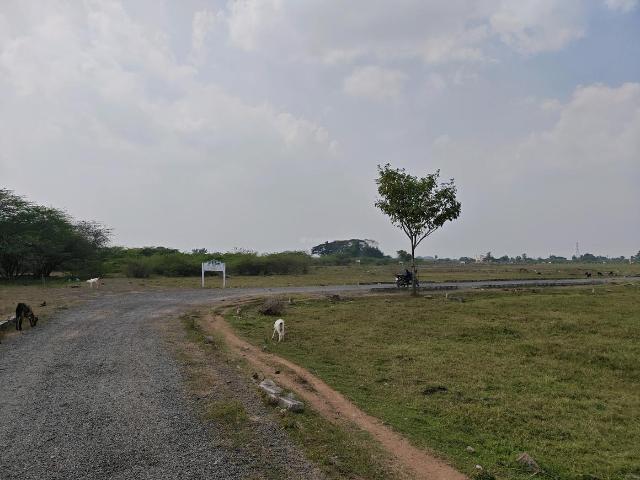 Residential Plot in Singaperumal Koil for resale Chennai. The reference number is 19533798