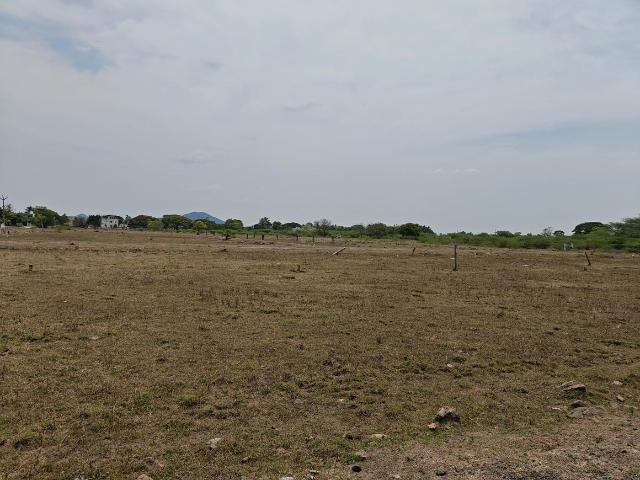 Residential Plot in Singaperumal Koil for resale Chennai. The reference number is 20027013