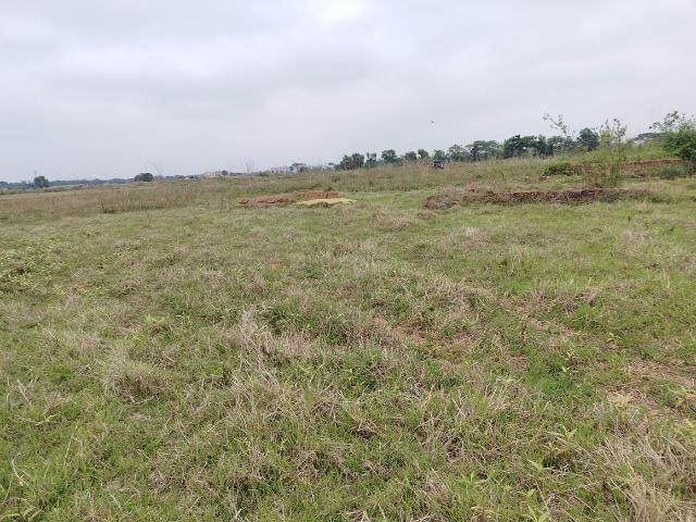 Residential Plot in Siula for resale Bhubaneswar. The reference number is 20019280
