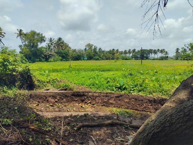 Residential Plot in Socorro for resale Goa. The reference number is 21002708