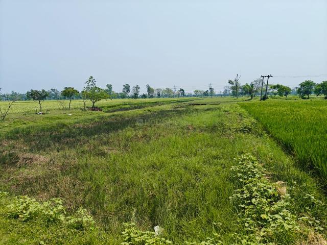 Residential Plot in Sonarpur for resale Kolkata. The reference number is 20993477