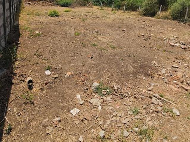 Residential Plot in Ghuma for resale Ahmedabad. The reference number is 20288790