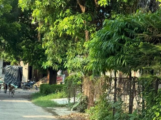 Residential Plot in South City J Block for resale Lucknow. The reference number is 18080983