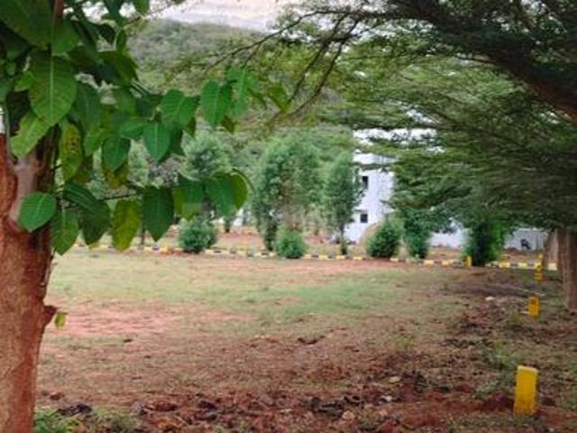 Residential Plot in SR Puram for resale Visakhapatnam. The reference number is 20216140