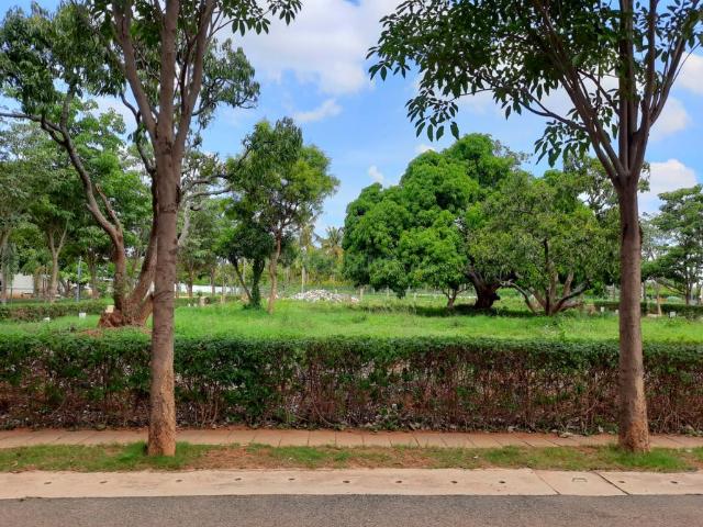 Residential Plot in Srinivasa Nagar for resale Bengaluru. The reference number is 20791278