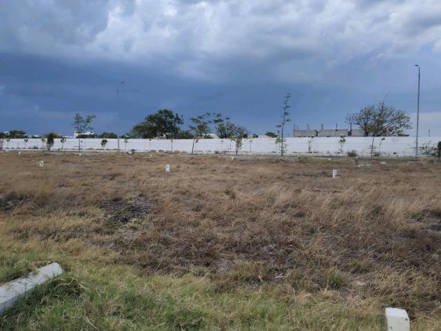 Residential Plot in Sriperumbudur for resale Chennai. The reference number is 19243567