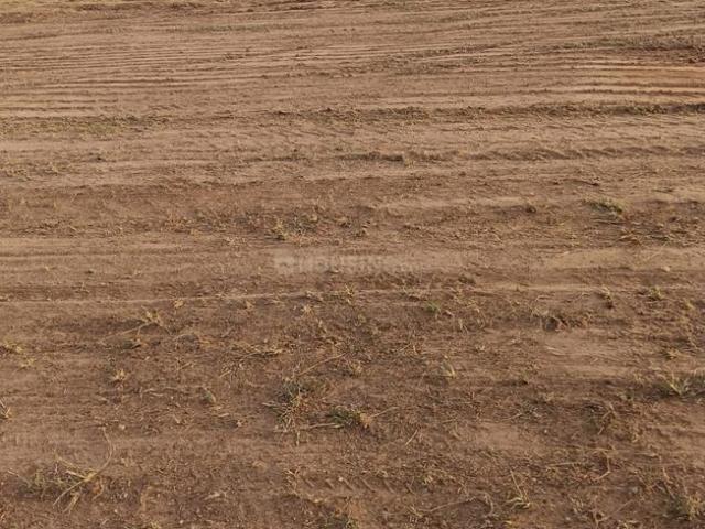 Residential Plot in Tuckerammalpuram for resale Tirunelveli. The reference number is 20409108