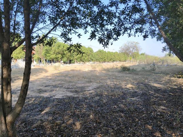 Residential Plot in Tukkuguda for resale Hyderabad. The reference number is 19325110