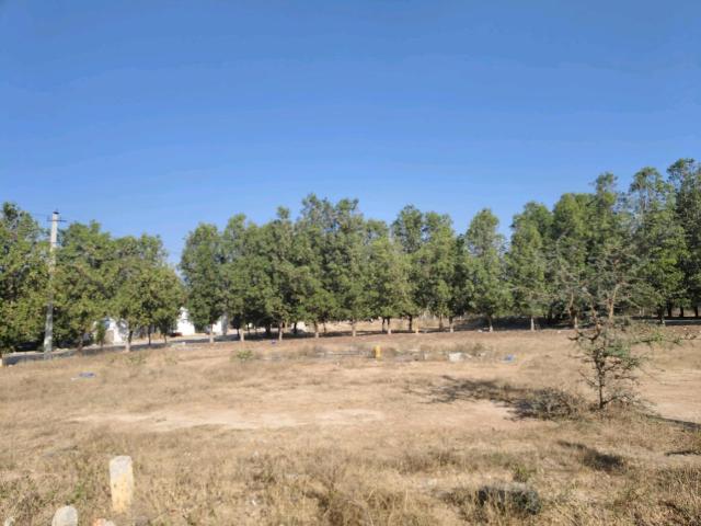 Residential Plot in Sreenagar for resale Hyderabad. The reference number is 19558382