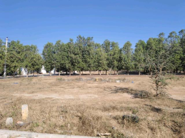 Residential Plot in Tukkuguda for resale Hyderabad. The reference number is 19558398