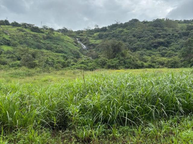 Residential Plot in Tungarli for resale Lonavala. The reference number is 19770835
