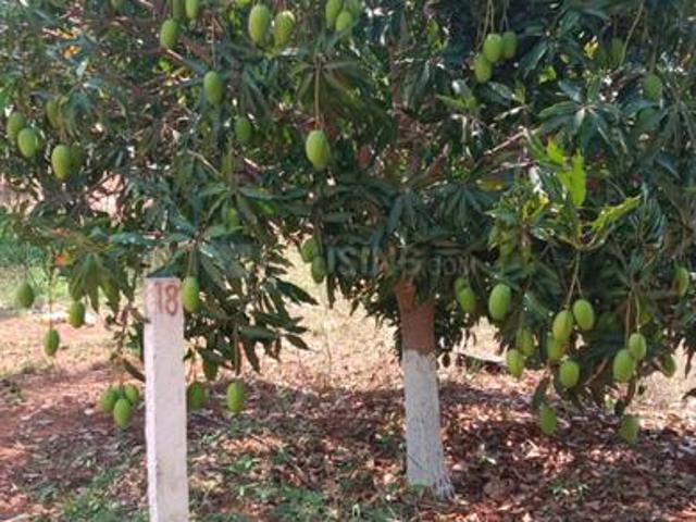 Residential Plot in Turkapally for resale Hyderabad. The reference number is 20636171
