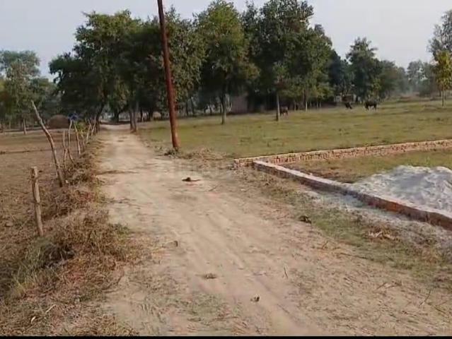 Residential Plot in Tajpur Kodara for resale Ayodhya. The reference number is 17079526