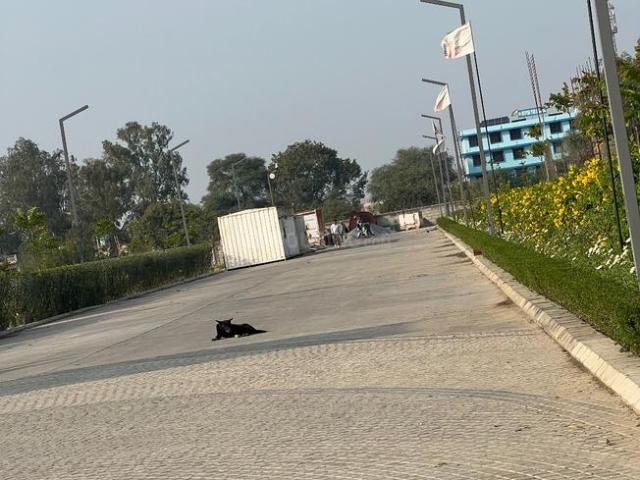 Residential Plot in Tajupur for resale Faridabad. The reference number is 18497199