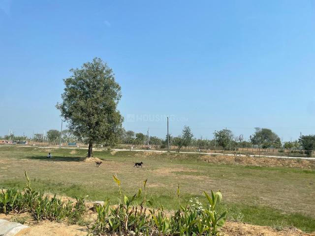 Residential Plot in Tajupur for resale Faridabad. The reference number is 20360757