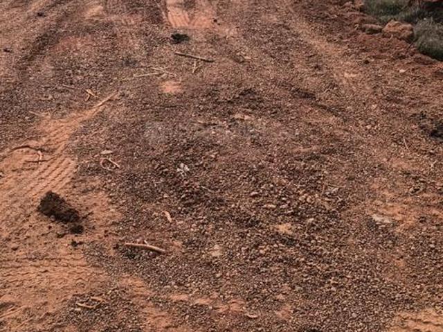 Residential Plot in Bijipur for resale Bhubaneswar. The reference number is 19271782