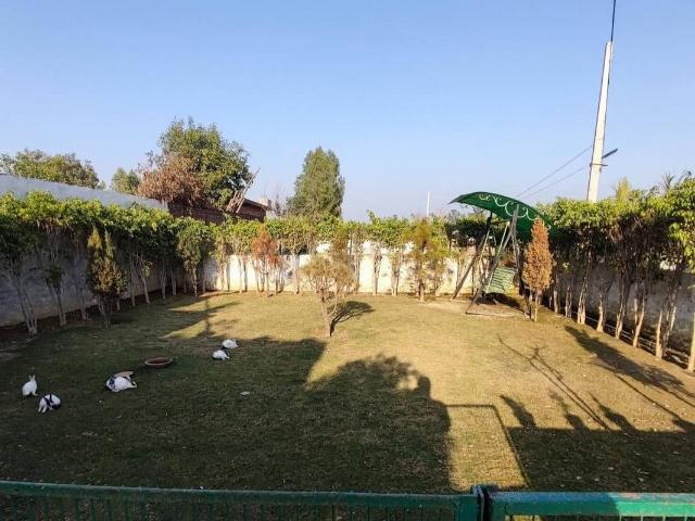 Residential Plot in Tappal for resale Yamuna Expressway. The reference number is 17127695
