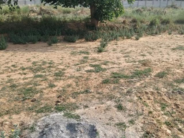 Residential Plot in Tapukara for resale Bhiwadi. The reference number is 20257153