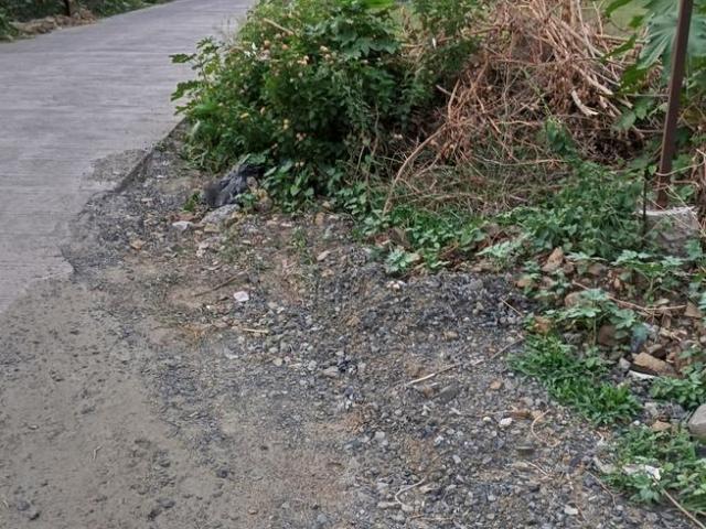 Residential Plot in Tejaji Nagar for resale Indore. The reference number is 19022170