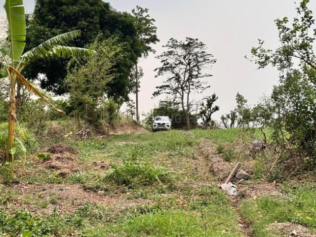 Residential Plot in Thano for resale Dehradun. The reference number is 17336553