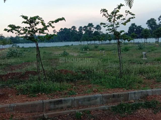 Residential Plot in Thagarapuvalasa for resale Visakhapatnam. The reference number is 17813714